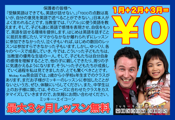 2017-a4-3-months-2-flat