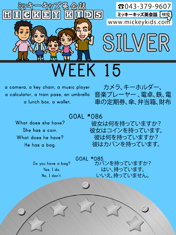 MK-WEEK-15-Silver-Goal-#86