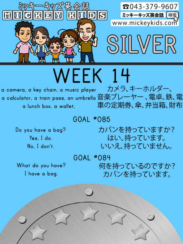 MK-Week14-SILVER-Goal85